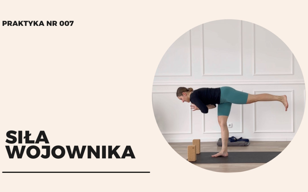 Praktyka 007 – siła wojownika