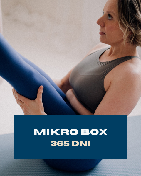 MIKRO BOX 365